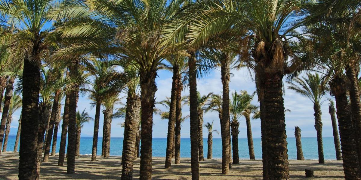 Апартаменти Apartamento Carole Playa Bajondillo Torremolinos Beach - Playa A 30 Segundos - Wifi - Parking - Terraza Екстер'єр фото